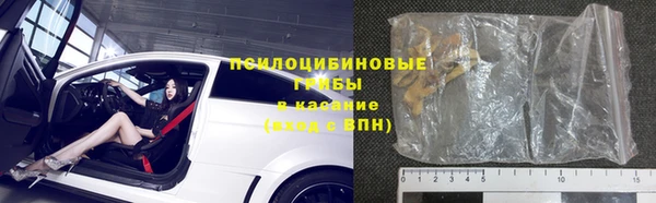 молекула духа Козловка