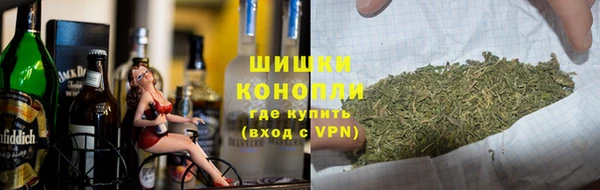 прущие грибы Кодинск