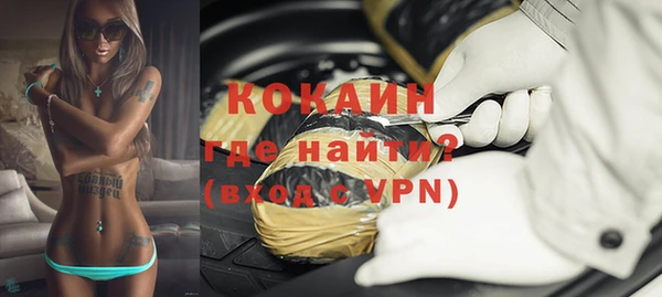 молекула духа Козловка