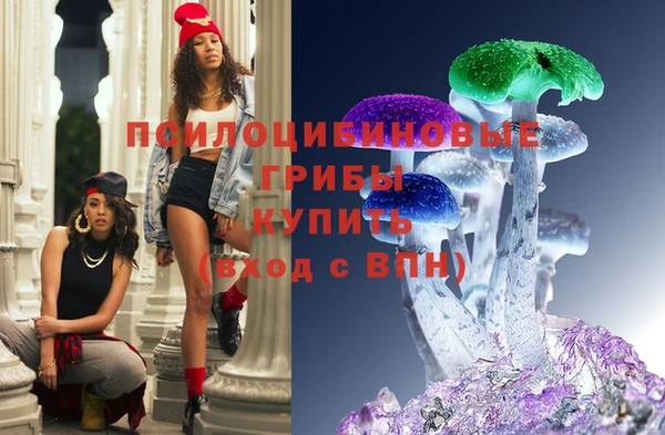 герыч Козельск