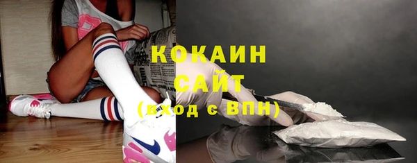 прущие грибы Кодинск