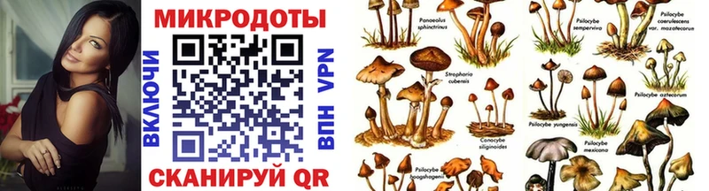 Галлюциногенные грибы Cubensis  Котлас 